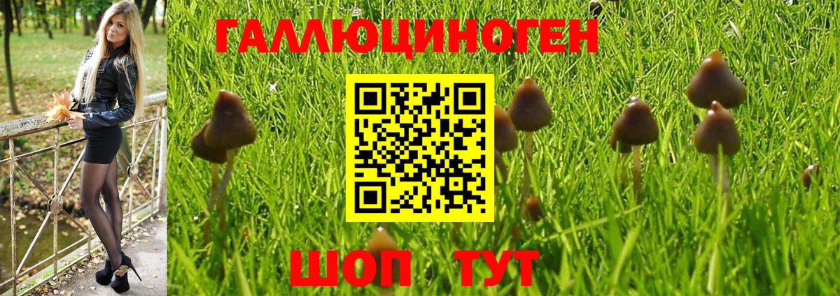 Псилоцибиновые грибы мухоморы Михайловск